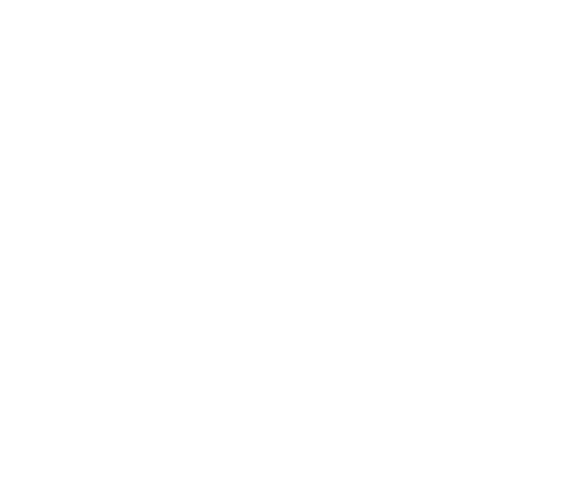 BM Logo